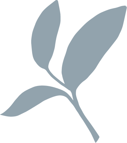 Ilustración de hojas de té — El Doko